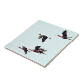 飛行中の虹彩の楔 タイル (側面)