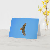 飛行中の赤後につかれたタカ カード (黄色い花)