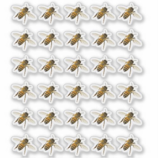 飛行中の透明または白のリアルなミツバチ シール (正面)