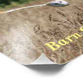 飛行中の飛んでいるバーンドウルのポスター フォトプリント            (角)