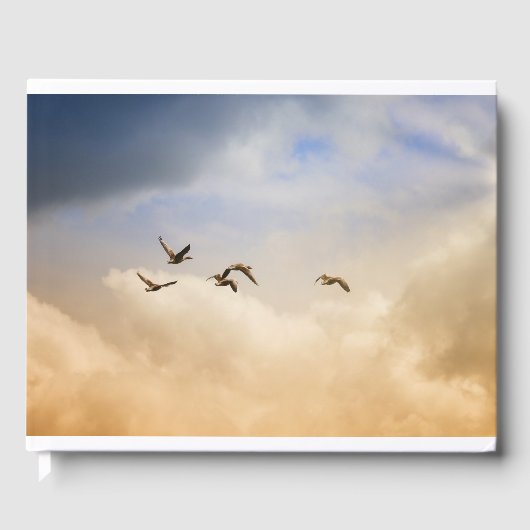 飛行中の鳥の群れ ゲストブック (正面)