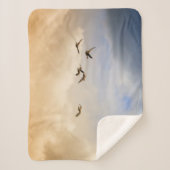 飛行中の鳥の群れ シェルパブランケット (正面)