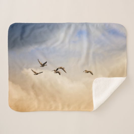 飛行中の鳥の群れ シェルパブランケット (正面(横))
