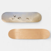 飛行中の鳥の群れ スケートボード (横)