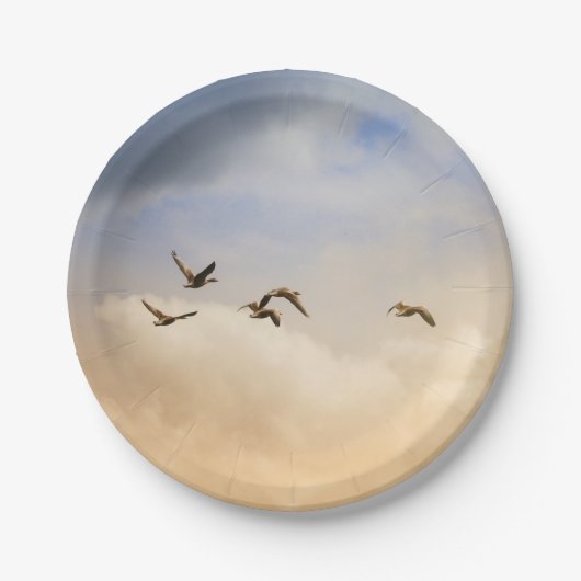 飛行中の鳥の群れ ペーパープレート (正面)
