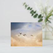 飛行中の鳥の群れ ポストカード (スタンド正面)