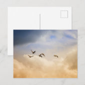 飛行中の鳥の群れ ポストカード (正面/裏面)