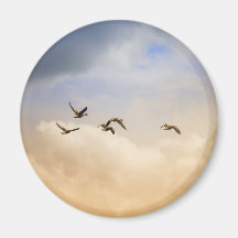 飛行中の鳥の群れ