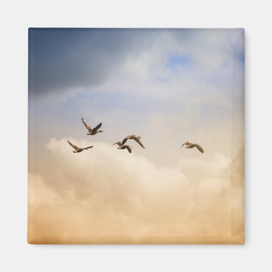 飛行中の鳥の群れ マグネット (正面)