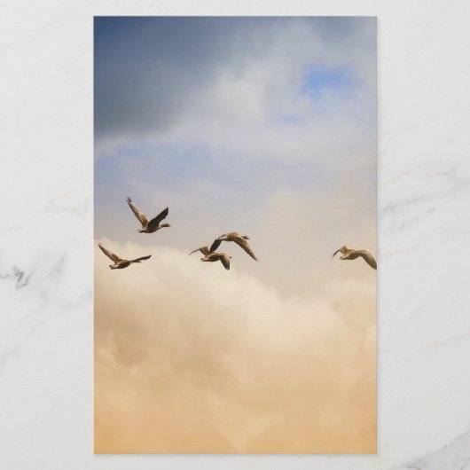 飛行中の鳥の群れ 便箋 (正面)