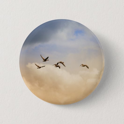 飛行中の鳥の群れ 缶バッジ (正面)