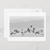 飛行中の鳥はがき ポストカード (正面/裏面)