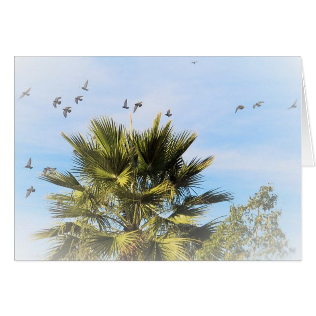 飛行中の鳥 (正面横)