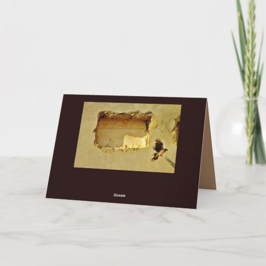 飛行中の鳩 カード (裏面)