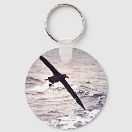 飛行中の黒足のアホウドリ キーホルダー (正面)