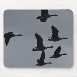 飛行中のB46カナダのガチョウ マウスパッド
