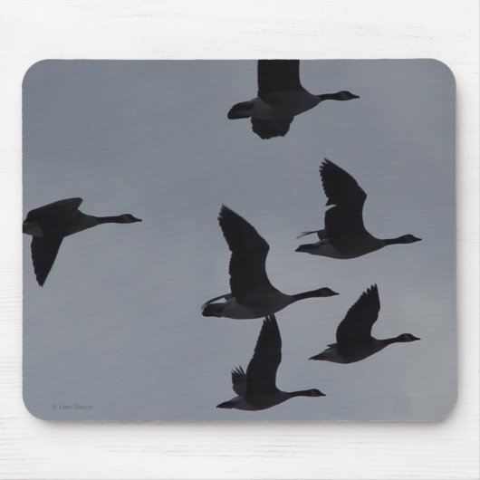 飛行中のB46カナダのガチョウ マウスパッド (正面)