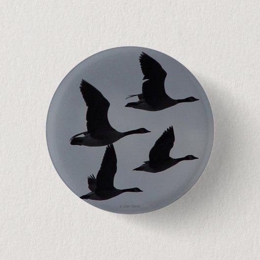 飛行中のB46カナダのガチョウ 缶バッジ (正面)