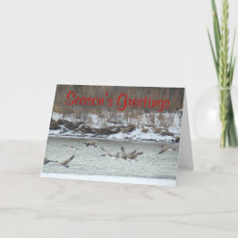 飛行中のB7カナダのガチョウ シーズンカード