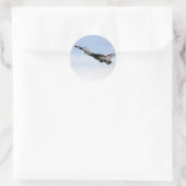 飛行中のF-16雷鳥 ラウンドシール (バッグ)