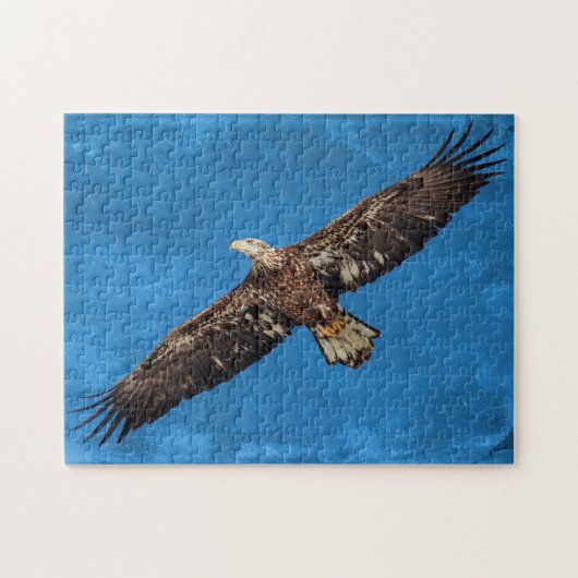 飛行中のSubadultの白頭鷲 ジグソーパズル (横)