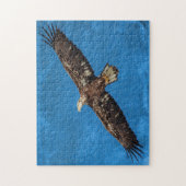 飛行中のSubadultの白頭鷲 ジグソーパズル (縦)