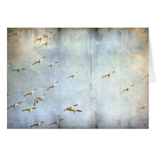 飛行中 (正面横)