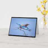 飛行中 カード (黄色い花)