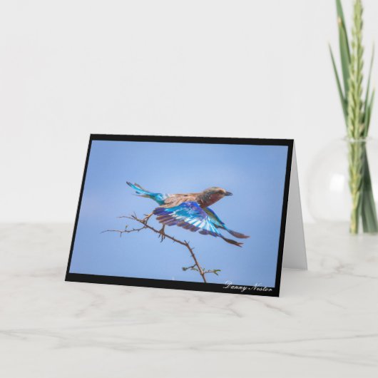 飛行中 カード (正面)