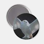 飛行前のチェック用磁石 マグネット (正面/裏面)