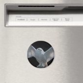 飛行前のチェック用磁石 マグネット (インサイチュ (食洗機))