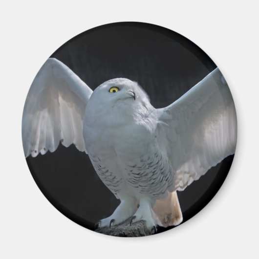 飛行前のチェック用磁石 マグネット (正面)