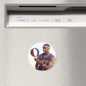 飛行時間ボールスピン マグネット (インサイチュ (食洗機))