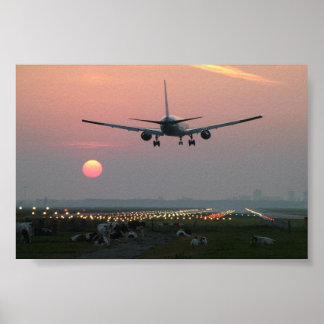 飛行機と牛 ポスター