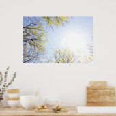 飛行機の木に囲まれた空 ポスター (キッチン)