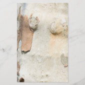 飛行機の木カモフラージュは樹皮のパターンを見る チラシ (正面)