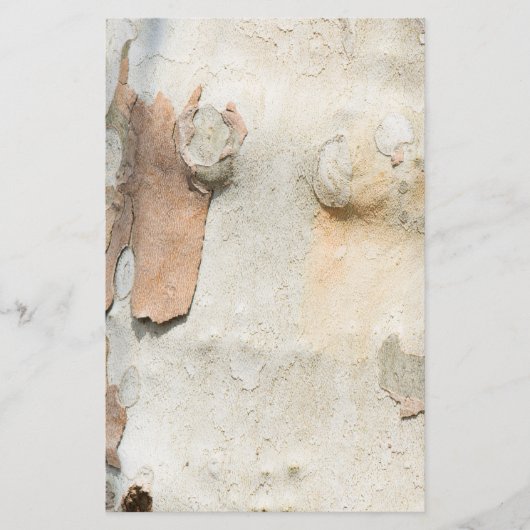 飛行機の木カモフラージュは樹皮のパターンを見る チラシ (正面)