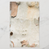 飛行機の木カモフラージュは樹皮のパターンを見る チラシ (裏面)