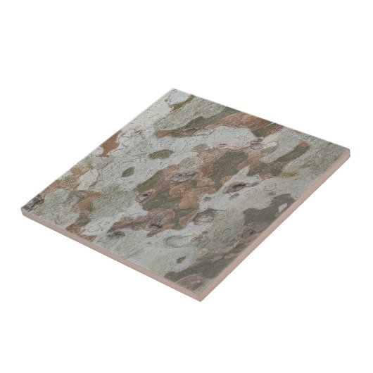 飛行機の木カモフラージュは、樹皮パターンのセラミックtに見える タイル (側面)