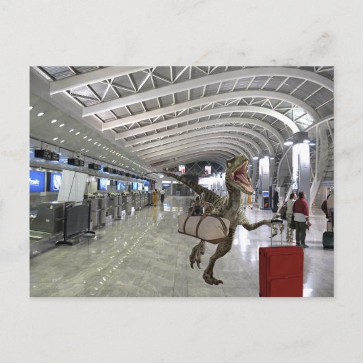 飛行機ラプターに遅おもしろいれる ポストカード (正面)