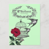 飛行機内のツバメ ポストカード (正面)