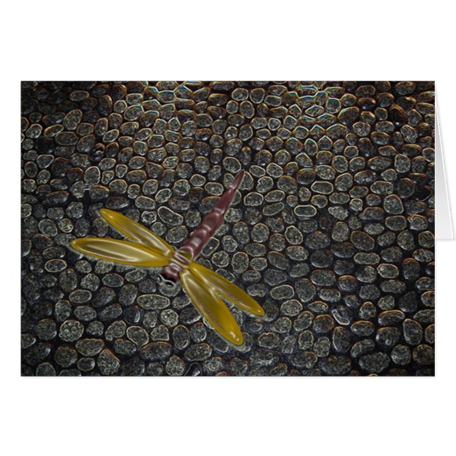 飛行機内のトンボ (正面横)