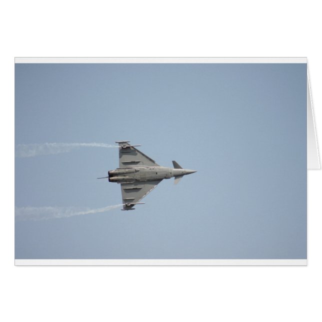 飛行機 (正面横)