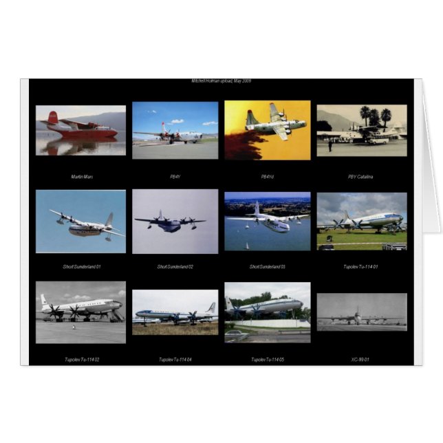 飛行機 (正面横)