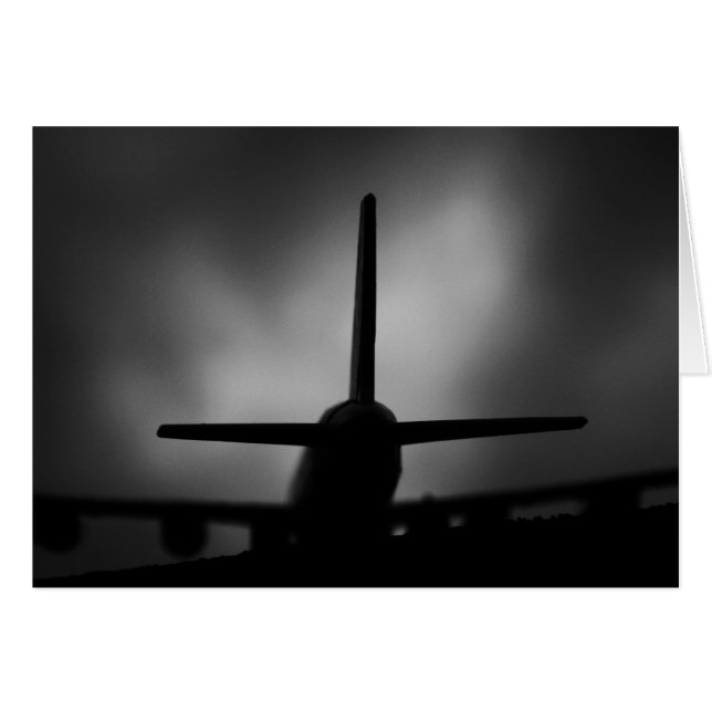 飛行機 (正面横)