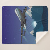 飛行機。ジャンボジェット機。 シェルパブランケット (正面(横))