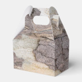 飛行機 フェイバーボックス (正面サイド)