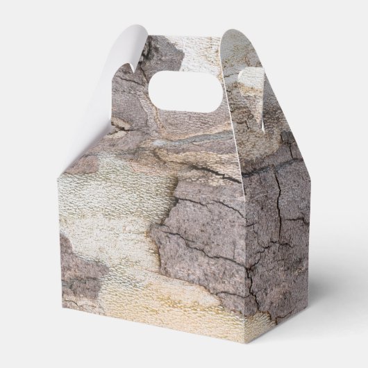 飛行機 フェイバーボックス (正面サイド)