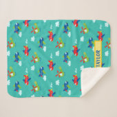 飛行機、ヘリコプター、雲のアートワークティール（緑がかった色）、名前 シェルパブランケット (正面(横))