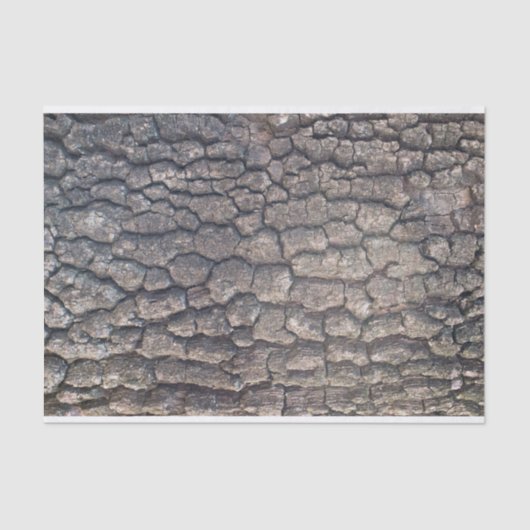 飛行機 薄葉紙 (正面)